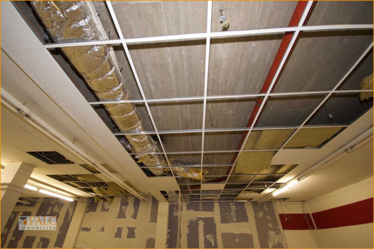 Deckenbeschaffenheit Deckenbeschaffenheit