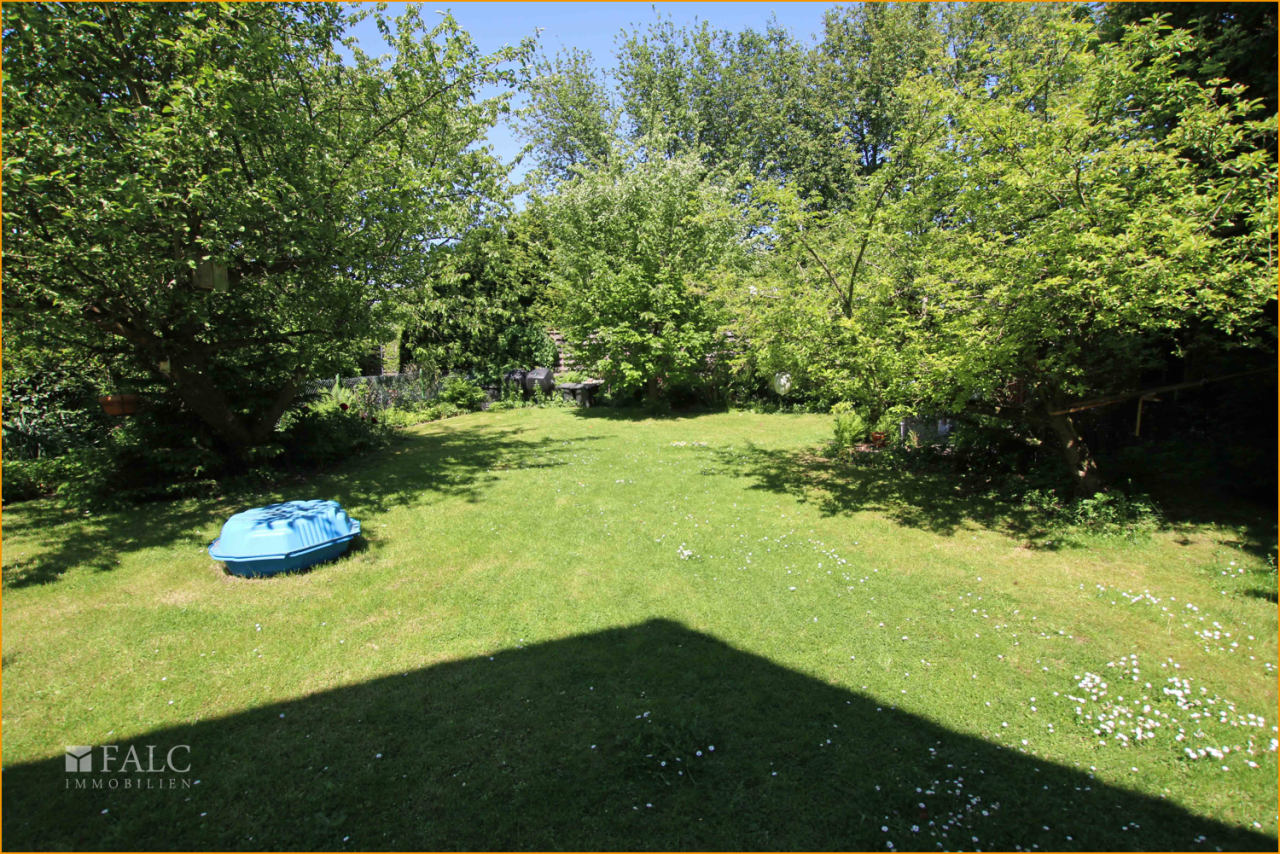 Rasenfläche hinter dem Haus Rasenfläche hinter dem Haus