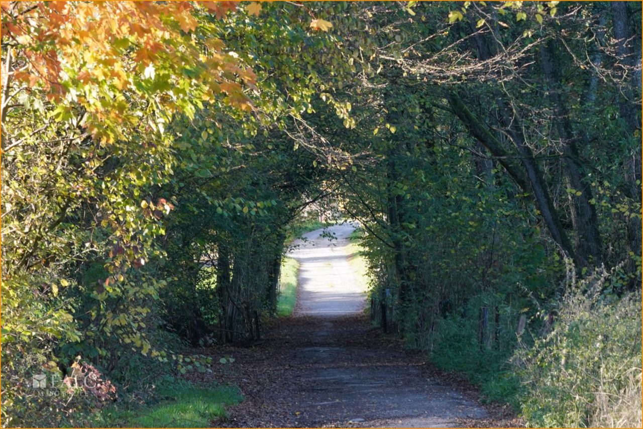 Herbststimmung Herbststimmung