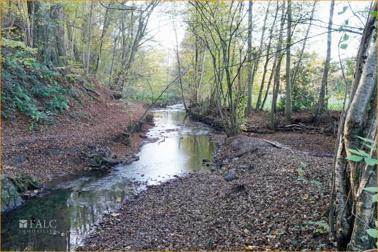 Düsselaue Düsselaue